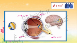 صفحه 47 علوم کلاس پنجم