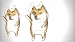 دلم نیومد نزارمشXDD#از_سگ ها_ح...