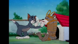 کارتون تام و جری | کارتون موش...