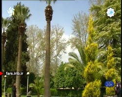 ترانه شاد " سرمست "...