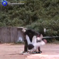 نرو بروسلی  نرو سمیه