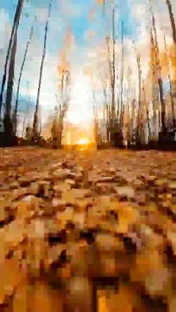 طبیعت زیباست