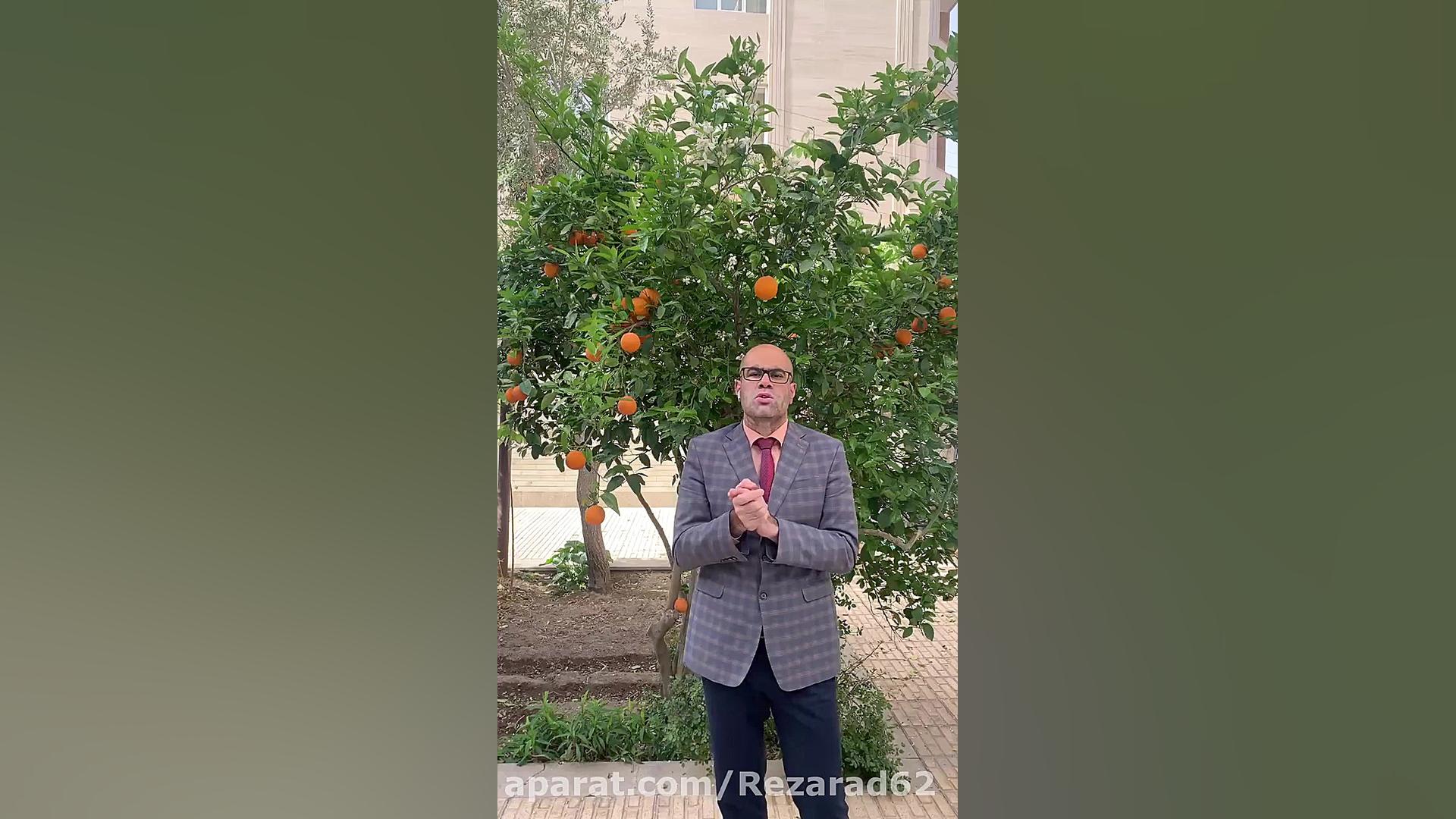 پروتز سینه و انواع آن و توضیحات دکتر مهدی جعفری دکتر مهدی جعفری (فوق تخصص جراحی پلاستیک)