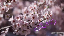 حجت اشرف زاده نسیم فروردین