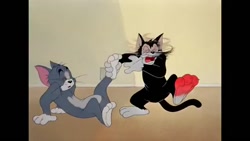 تام و جری  کارتون تام و جری  ک...