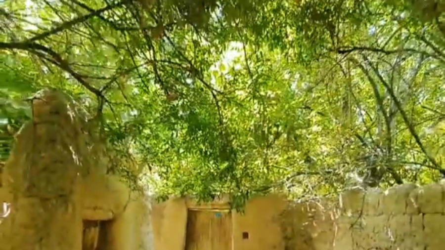 پوستر کوچک