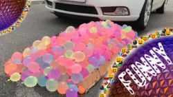 له کردن اجسام کیوت و بامزه - ر...