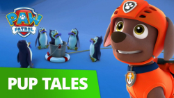 کارتون سگهای نگهبان/نجات پنگوئ...