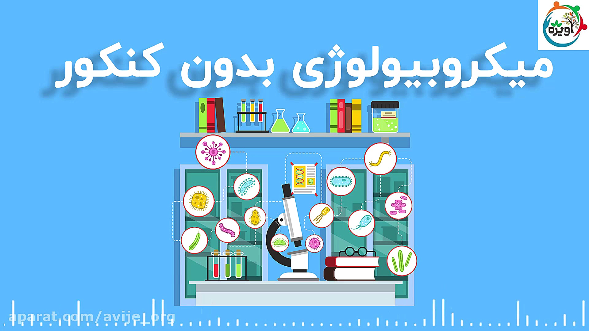 میکروبیولوژی بدون کنکور بیماری پلی‌سیتمی ورا