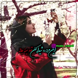 آهنگ غمگین  کلیپ غمگین آهنگ عا...