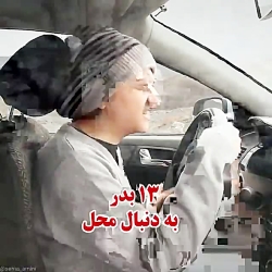 طنز سرنا امینی / سرنا امینی /ک...