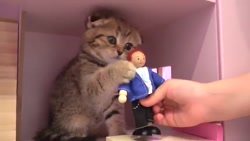 دیانا و روما / دیانا و روما /...