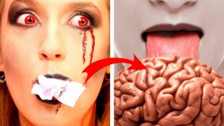 همکلاسی من یک زامبی است! 13 وض...