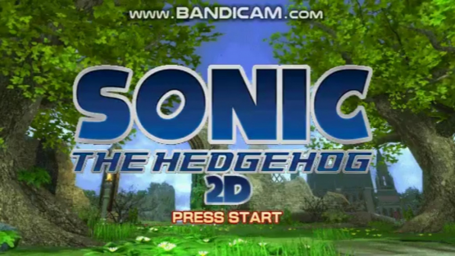sonic the hedgehog 2D