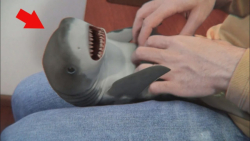 جالب ترین لحظات حیوانات