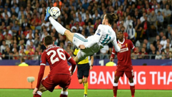 تاریخی ترین گل های قیچی برگردو...