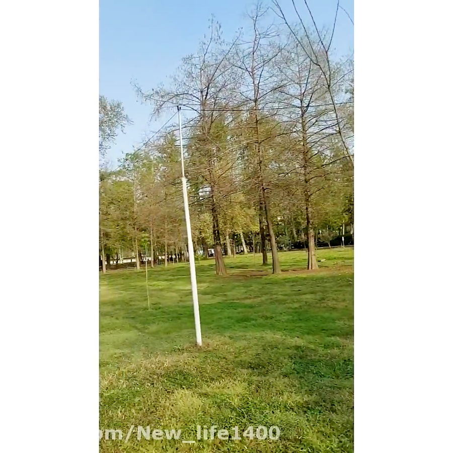 ورزش صبح گاهی در پارک شهر رشت