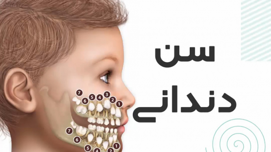 سن دندانی دکتر سعید فروغی متخصص ارتودنسی