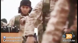 آقامیری  سلام بر سلام  آقامیری...