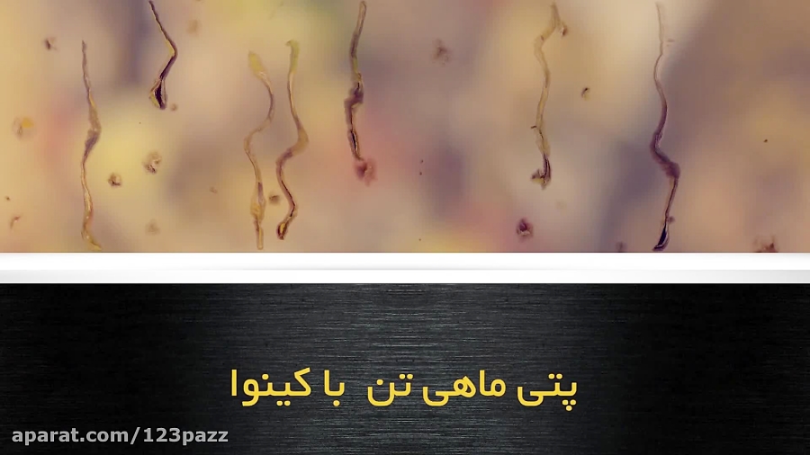 آموزش آشپزی: پتی ماهی تن و کینوا