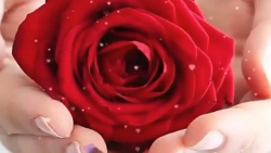 عشق دارم یه تیکه ماه || آهنگ ع...