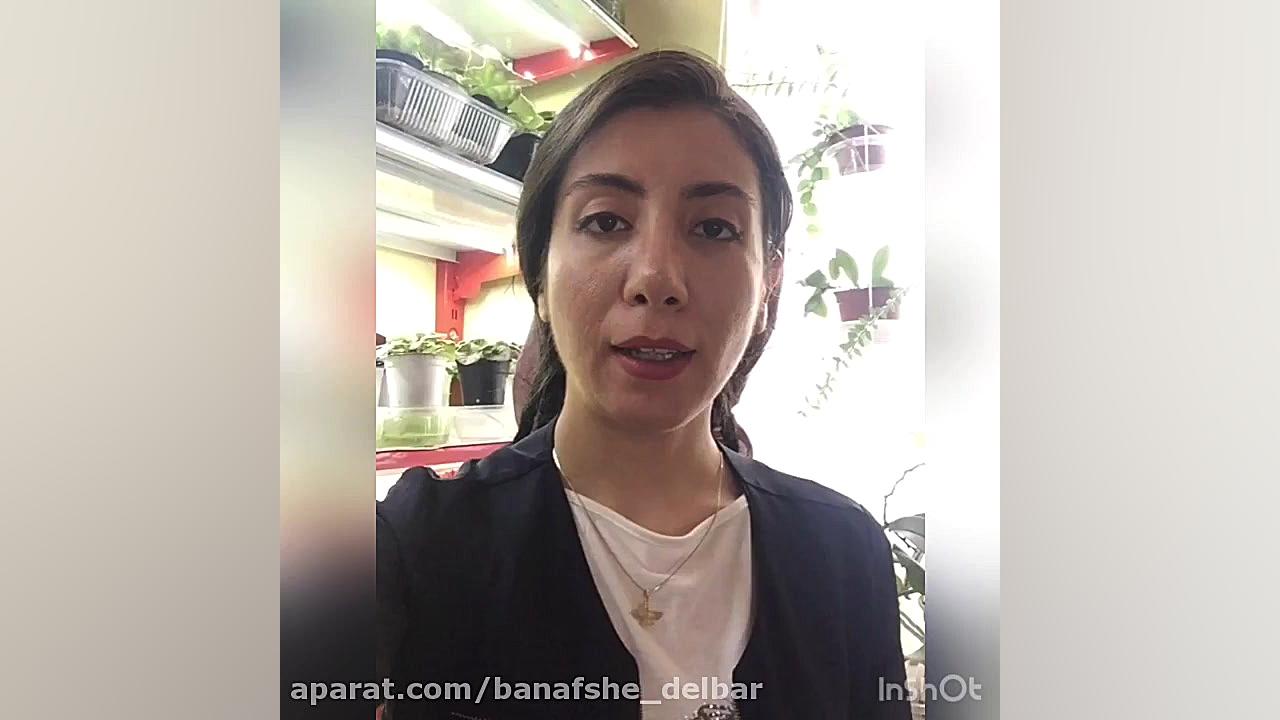 معرفی و آشنایی با بنفشه آفریقایی گیاه آپارتمانی جذاب زمان215ثانیه