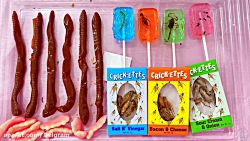 ناستیا استیسی جدید | ماجرای نا...