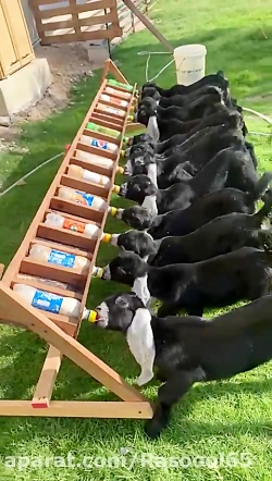 کلیپ فوق انگیزشی و پر از انرژی...