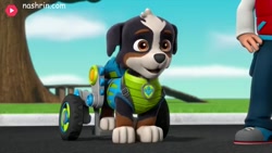 | کارتون سگ نگهبان | انیمیشن س...