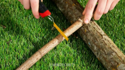 22 ایده خلاقانه برای سفر