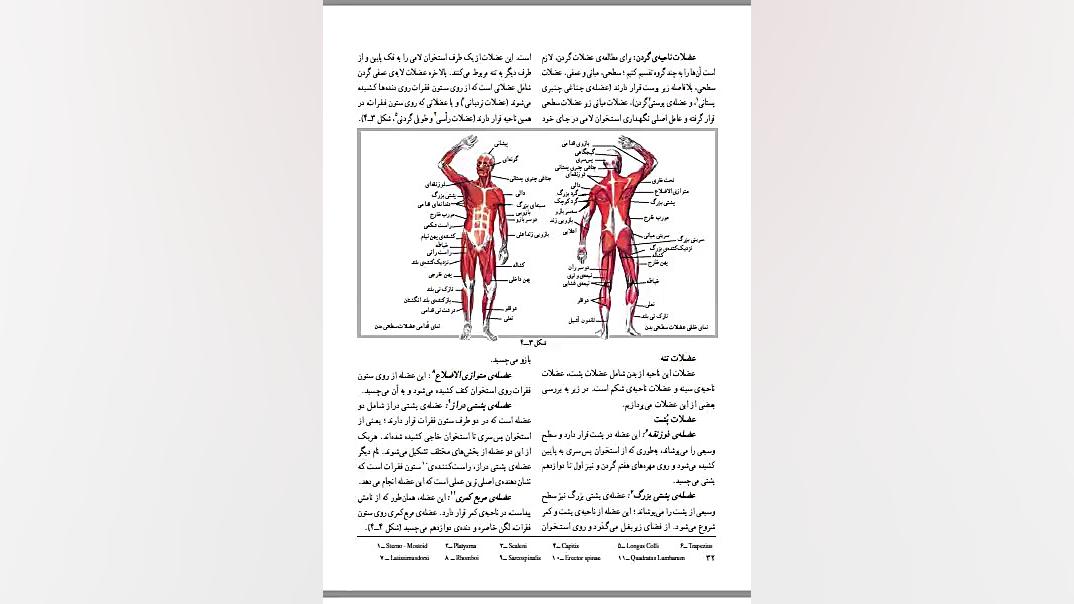 دستگاه عضلانی ترمیم لبخند لثه‌ای