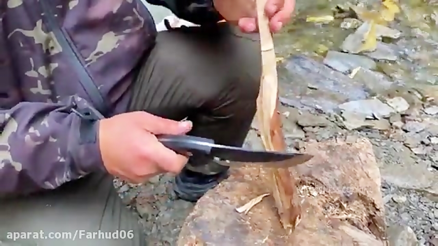 روش پخت متفاوت ماهی