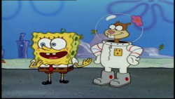 | باب اسفنجی | انیمیشن باب اسف...