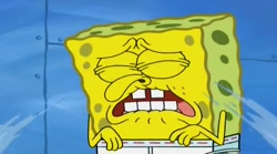 | باب اسفنجی | انیمیشن باب اسف...