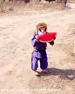 چقدر با ولع میخوره