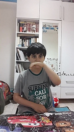 برسی لگو ی هالک