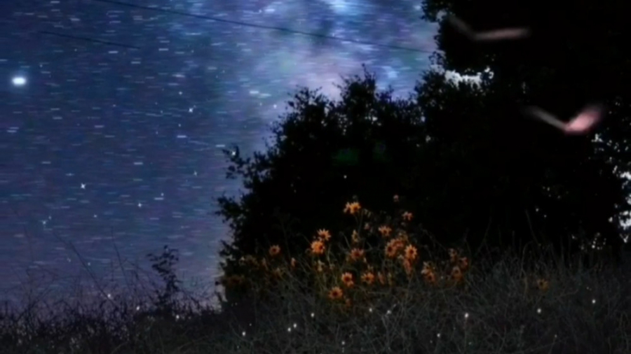 حلول ماه مبارک رمضان زهرا علیزاده