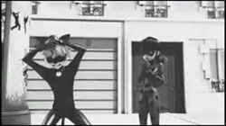 وقتی که گربه سیاه هویت دختر کف...