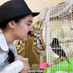 روزهای تعطیل که باباها نمیرن س...