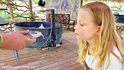 ناستیا استیسی جدید | ماجرای نا...