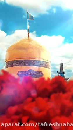 کلیپ کوتاه استوری امام رضایی | سالار عقیلی
