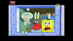 کارتون باب اسفنجی:: خارپوست::...