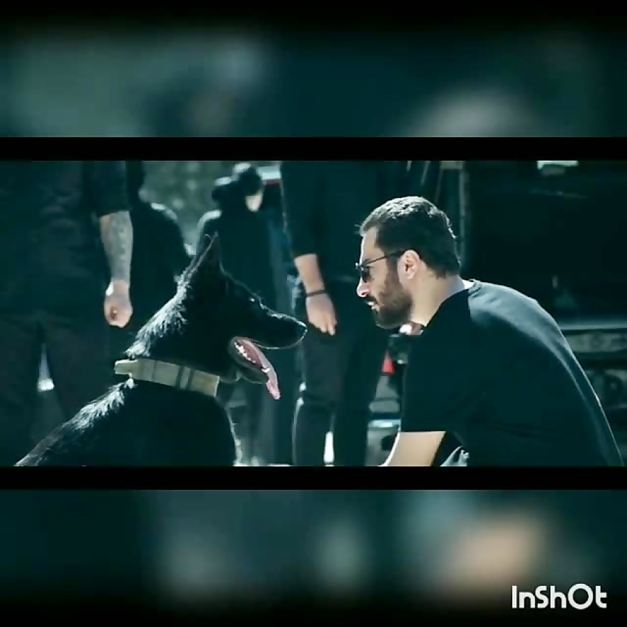 فیلم نوید محمد زاده برای سگش از پت آنسیل خرید میکنه ویدیو کلیپ کلیپ امروز فیلم نوید محمد زاده برای سگش از پت آنسیل خرید میکنه ویدیو کلیپ کلیپ امروز