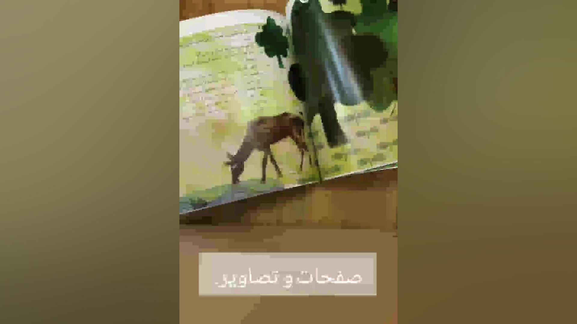 معرفی کتاب ماهی سیاه کوچولو زمان61ثانیه