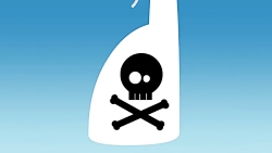 مقایسه محصول ارگانیک با محصول...