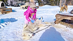 ناستیا استیسی جدید | ماجرای نا...