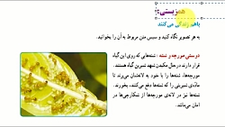 علوم ششم - همزیستی