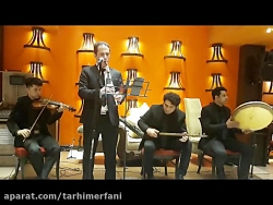 دشتی غمگین/tarhimerfani.ir