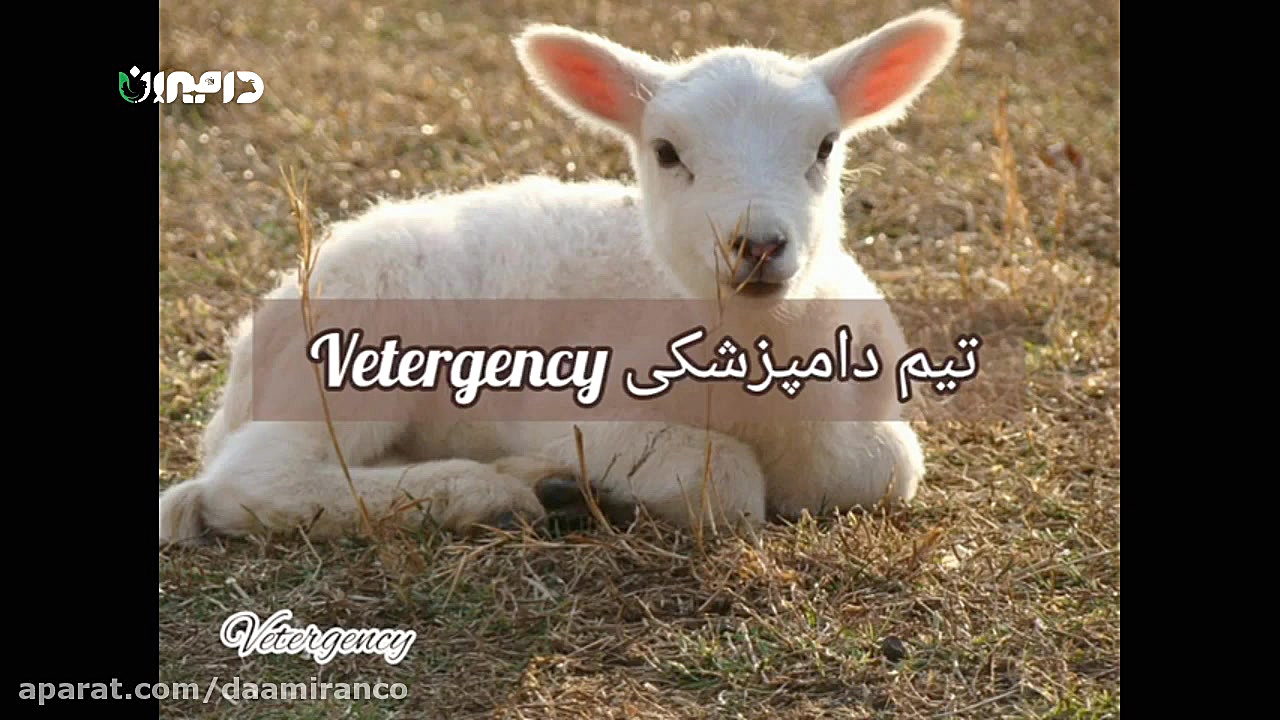 معرفی داروی ملوکسیکام (Meloxicam) ترمیم زیبایی دندان