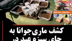 دسگیری گروه قمه زن.سارقان ماشی...